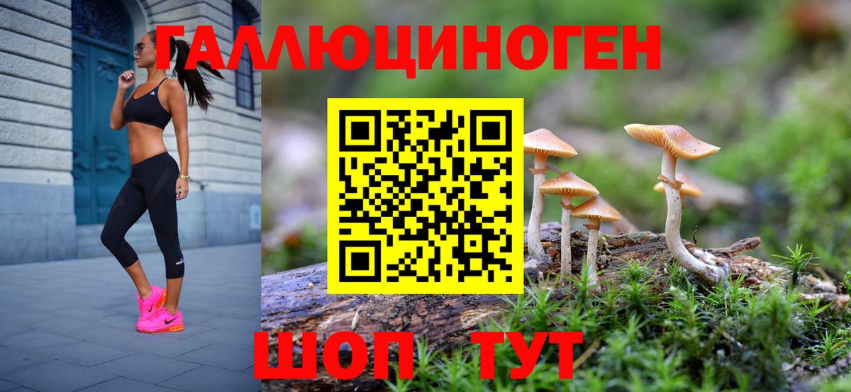 Усть-Джегута  Псилоцибиновые грибы Magic Shrooms  Псилоцибиновые грибы мицелий  Вход с VPN 